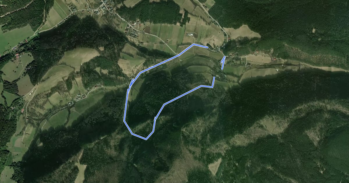 Маршрут Ruinenweg Runde bei Schrattenbach на спутниковом снимке