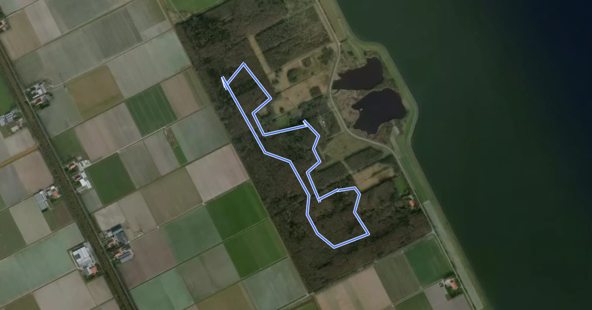 Маршрут Ruiterroute Dijkgatbos на спутниковом снимке