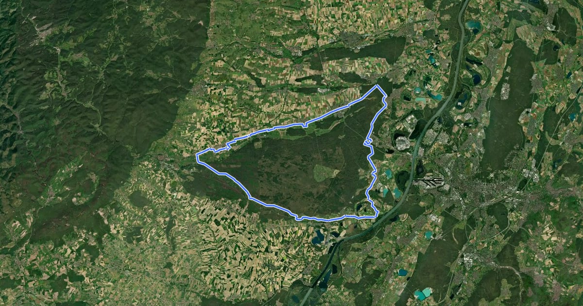 Маршрут Rund um den Bienwald на спутниковом снимке
