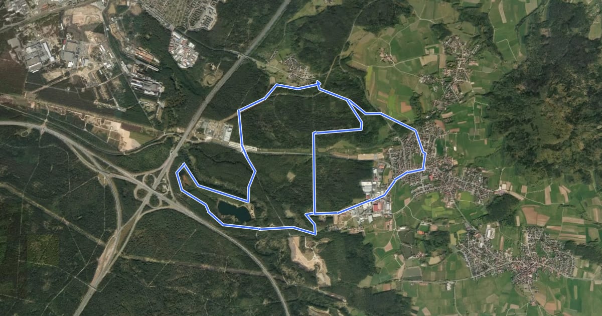 Маршрут Rund um den Birkensee на спутниковом снимке