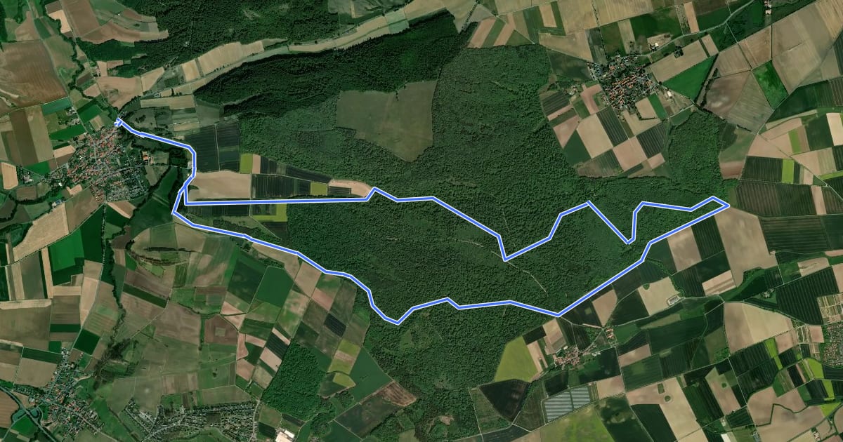 Маршрут Rund um den Langenberg на спутниковом снимке