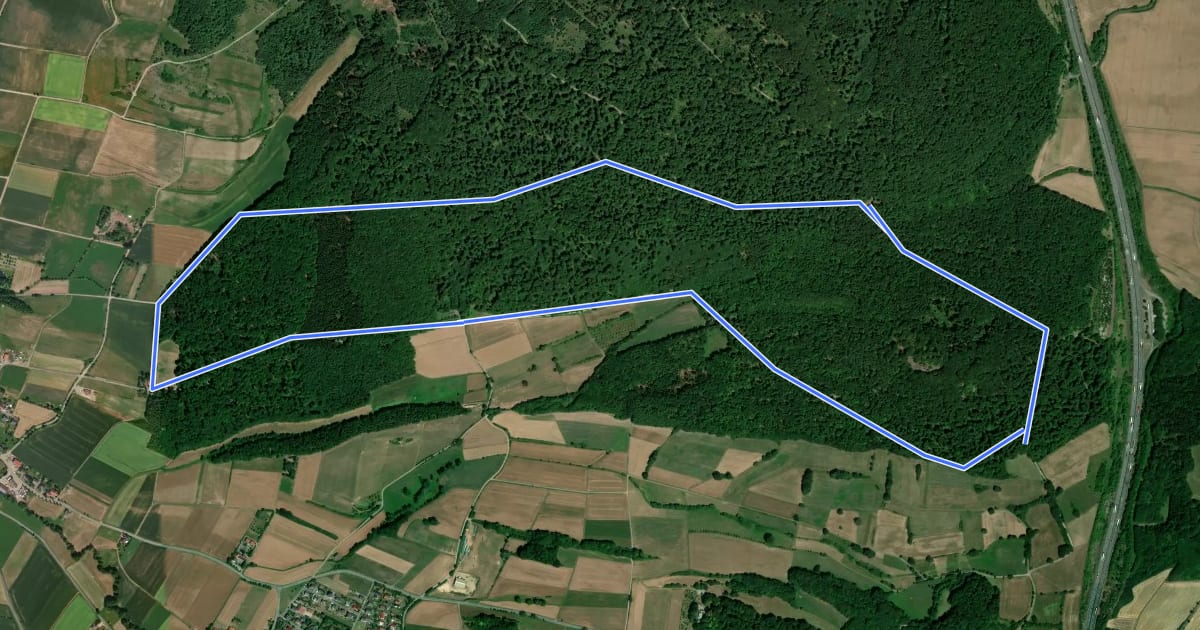 Маршрут "Rund um den Rohrberg": Rundwanderweg 1 des Naturpark Habichtswald на спутниковом снимке