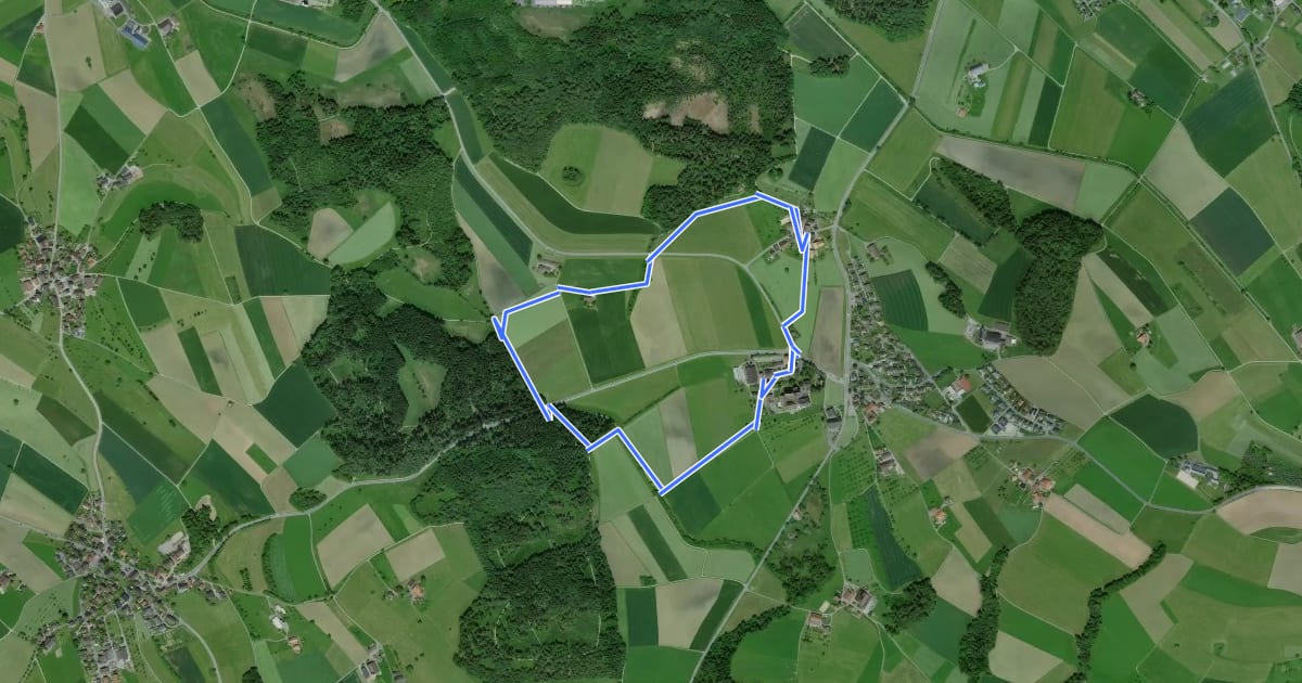 Маршрут Rund-Wanderweg Kloster Kappel на спутниковом снимке
