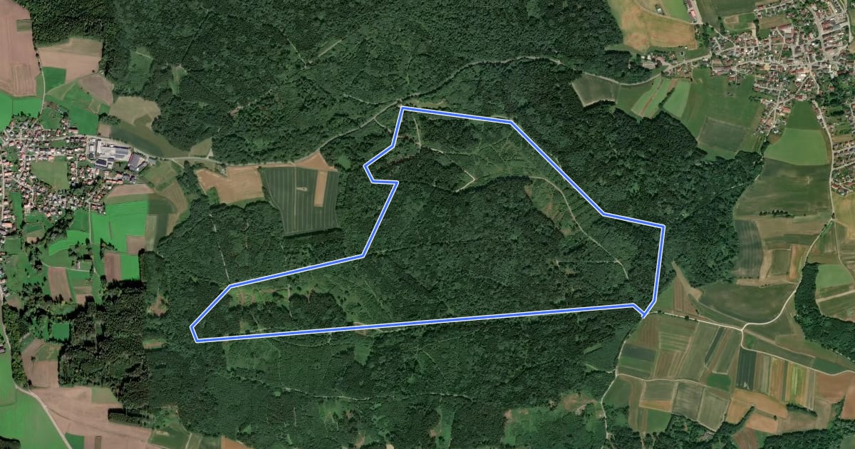 Маршрут Rundum im Kehlbachwald на спутниковом снимке