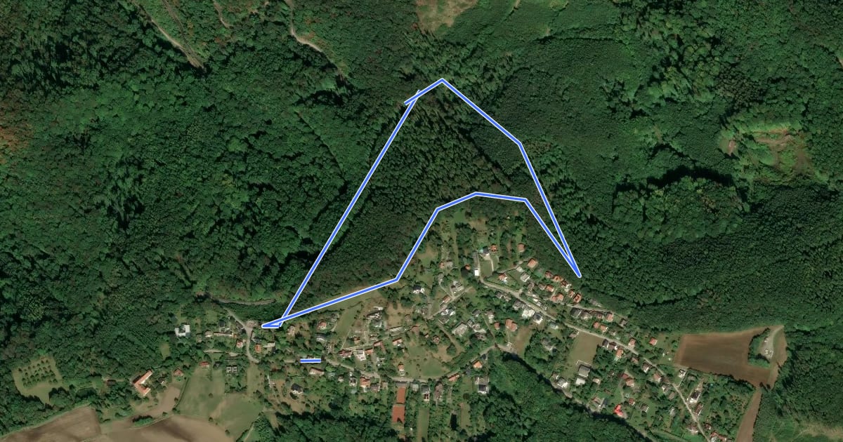 Маршрут Rundwanderweg 1 на спутниковом снимке