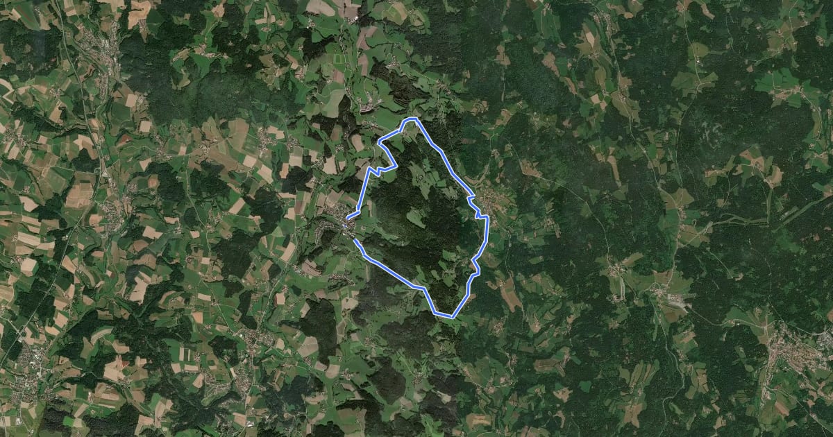 Маршрут Rundwanderweg 1 на спутниковом снимке