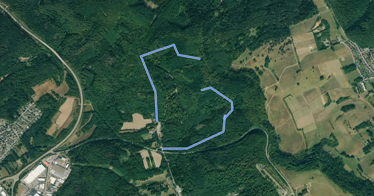 Маршрут Rundwanderweg 1 на спутниковом снимке