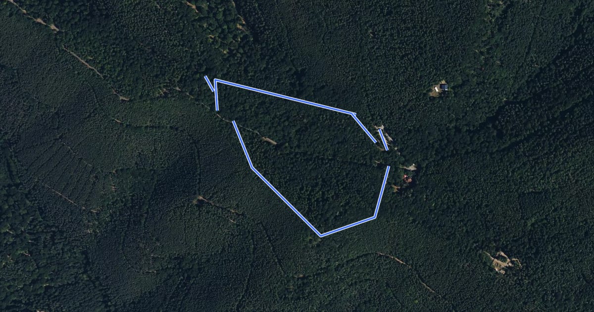Маршрут Rundwanderweg 1 на спутниковом снимке