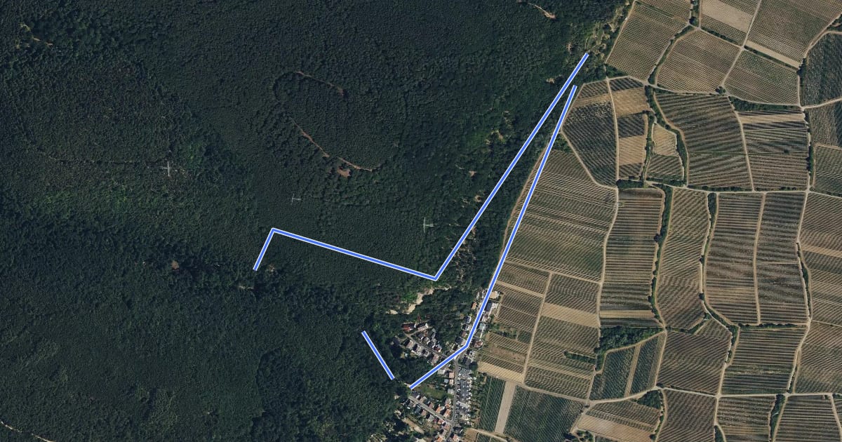 Маршрут Rundwanderweg 1 на спутниковом снимке