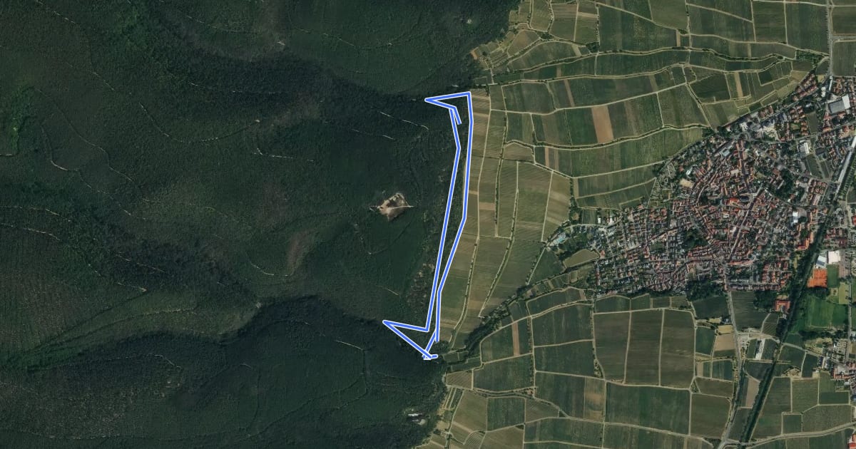 Маршрут Rundwanderweg 1 на спутниковом снимке