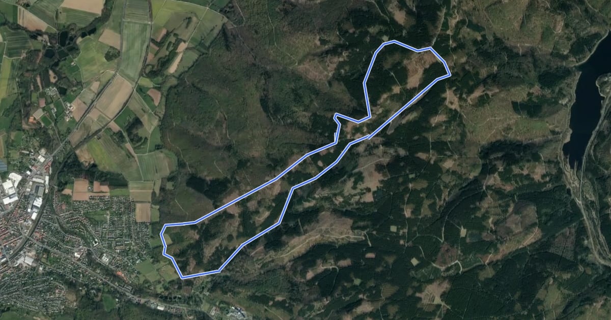 Маршрут Rundwanderweg 1 на спутниковом снимке