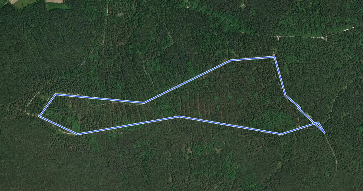 Маршрут Rundwanderweg 1 Abenberg на спутниковом снимке