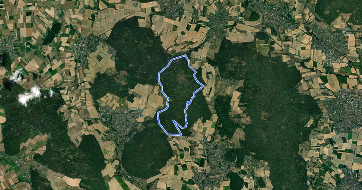 Маршрут Rundwanderweg "1" des Naturpark Habichtswald ab Wanderparkplatz Falkenstein на спутниковом снимке