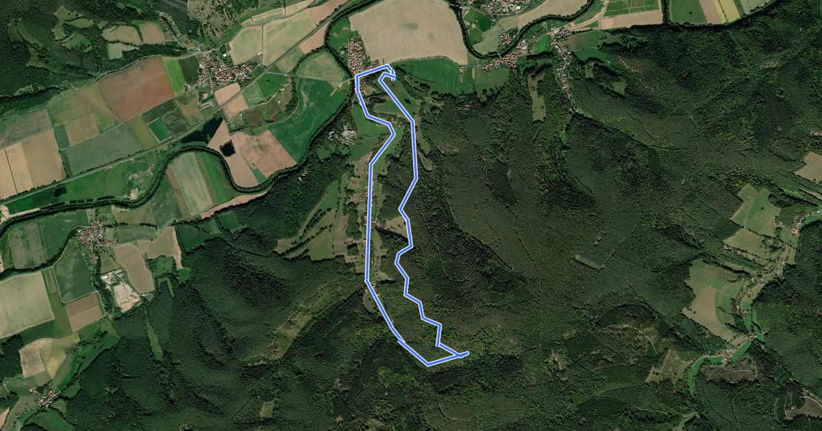 Маршрут Rundwanderweg 1 (Grüner Balken) на спутниковом снимке