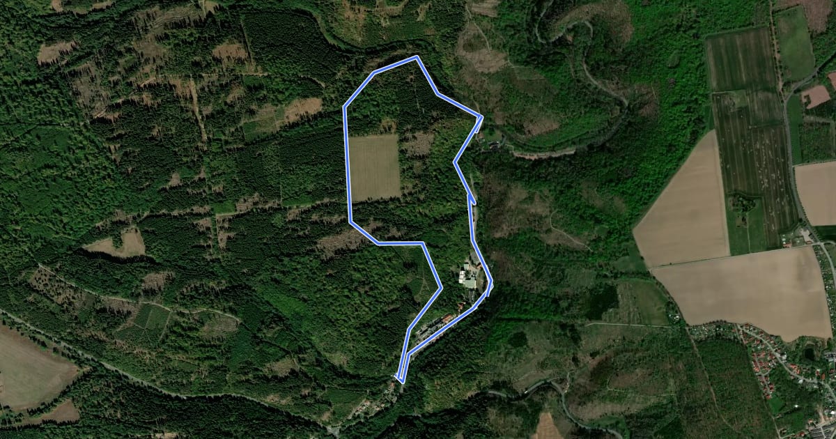 Маршрут Rundwanderweg 1 Harzgerode/Alexisbad на спутниковом снимке