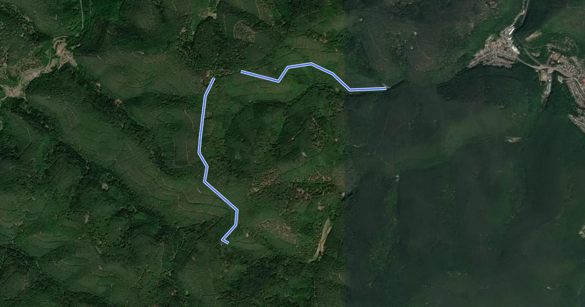Маршрут Rundwanderweg 1 Heidenbrunnental на спутниковом снимке