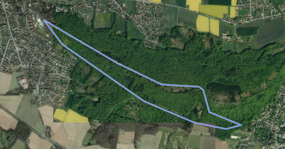 Маршрут Rundwanderweg 1 im Harrl на спутниковом снимке