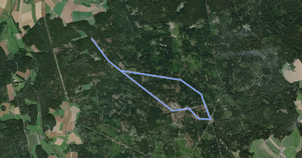 Маршрут Rundwanderweg 1 Schwarzenbach/S. на спутниковом снимке
