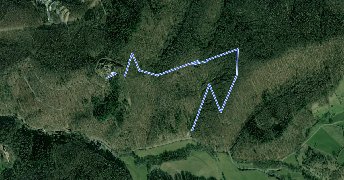 Маршрут Rundwanderweg 1: Tannenberg - Weg на спутниковом снимке