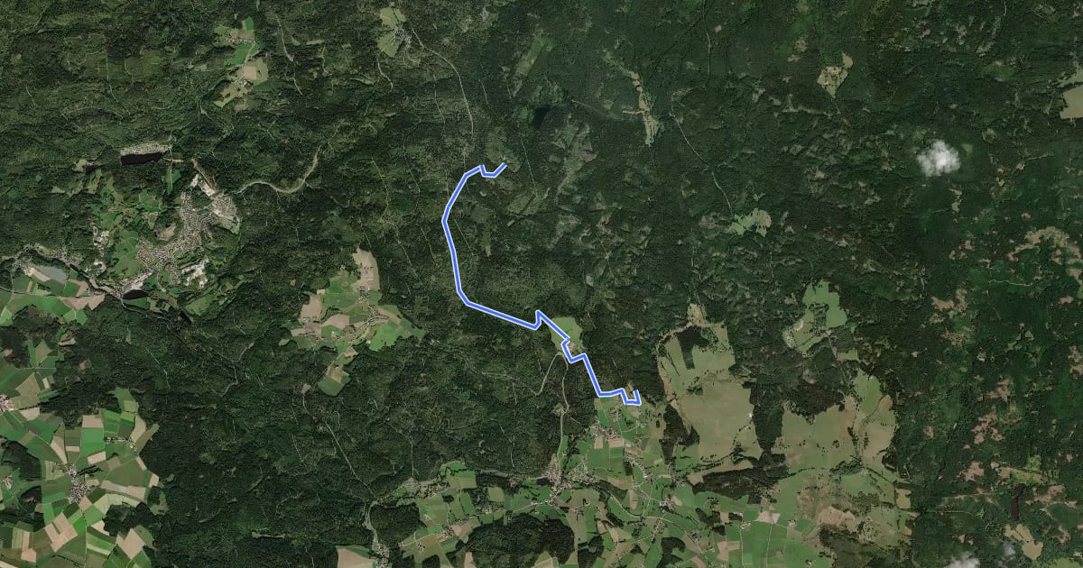Маршрут Rundwanderweg 1 - Teilabschnitt auf deutscher Seite: Neudorf - Havran на спутниковом снимке