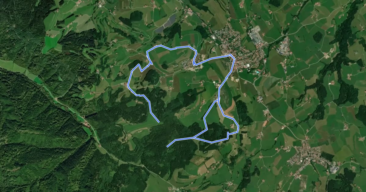 Маршрут Rundwanderweg 1 (Variante 1) на спутниковом снимке