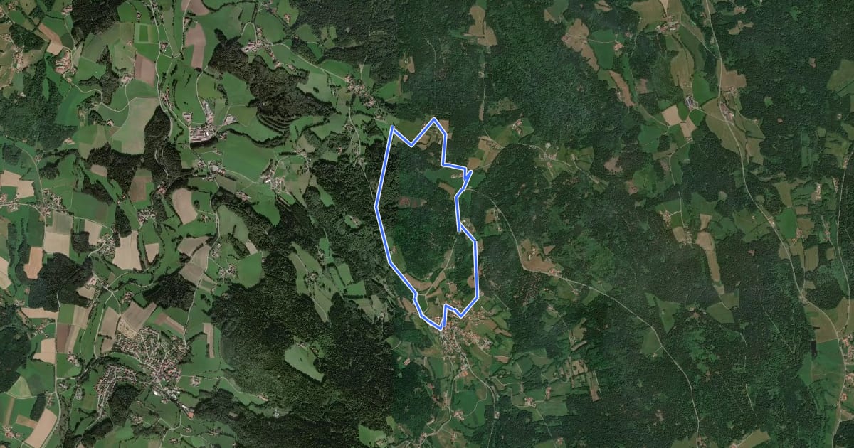 Маршрут Rundwanderweg 10 на спутниковом снимке