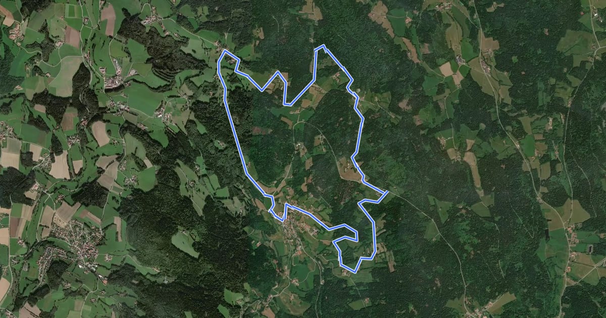 Маршрут Rundwanderweg 11 на спутниковом снимке