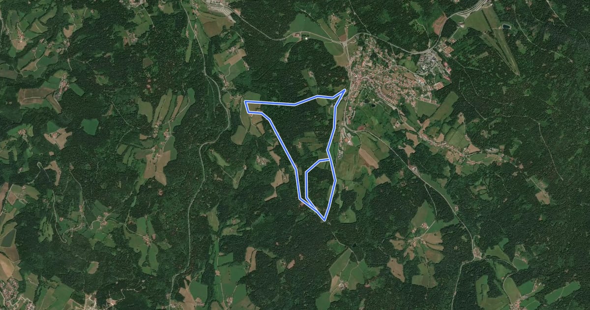 Маршрут Rundwanderweg 2 на спутниковом снимке