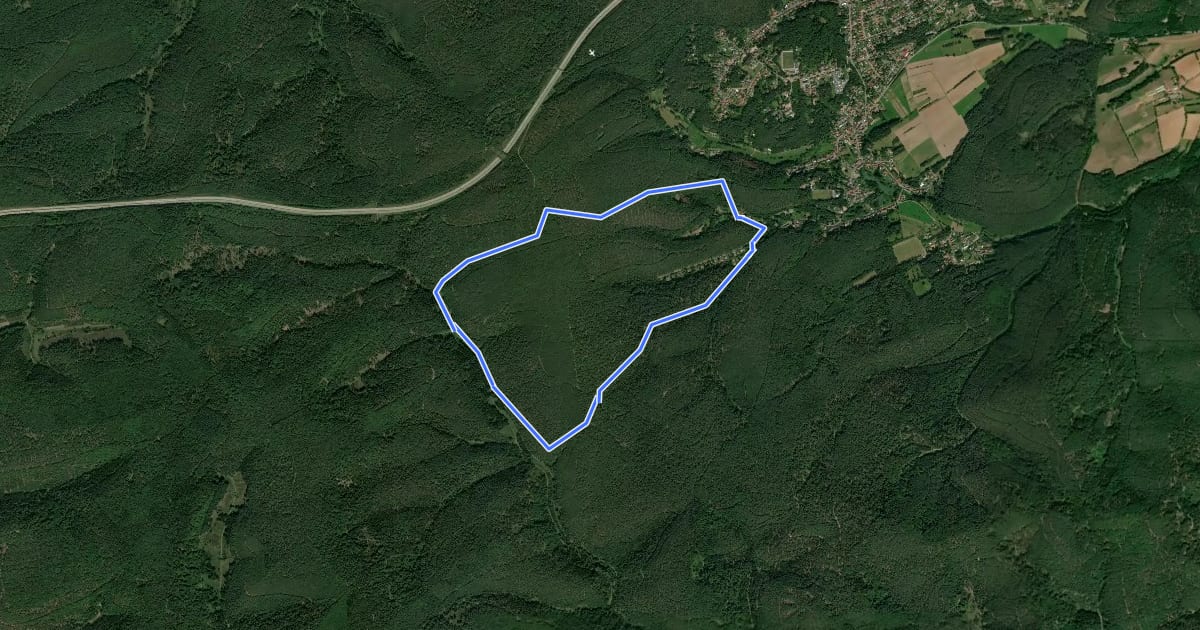 Маршрут Rundwanderweg 2 на спутниковом снимке