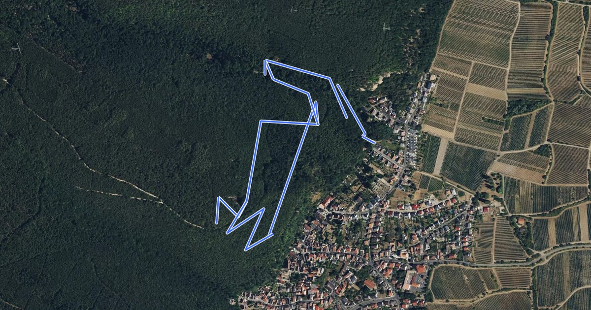 Маршрут Rundwanderweg 2 на спутниковом снимке