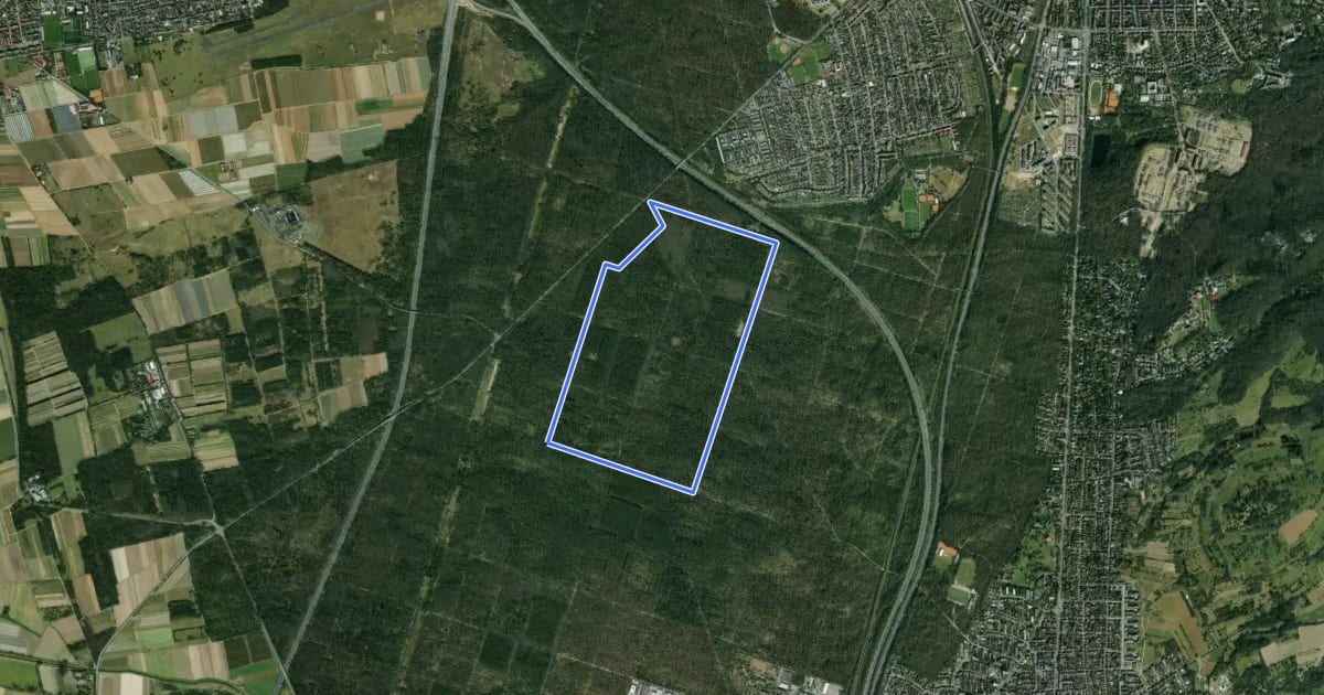 Маршрут Rundwanderweg 2: Buckel-Weg на спутниковом снимке