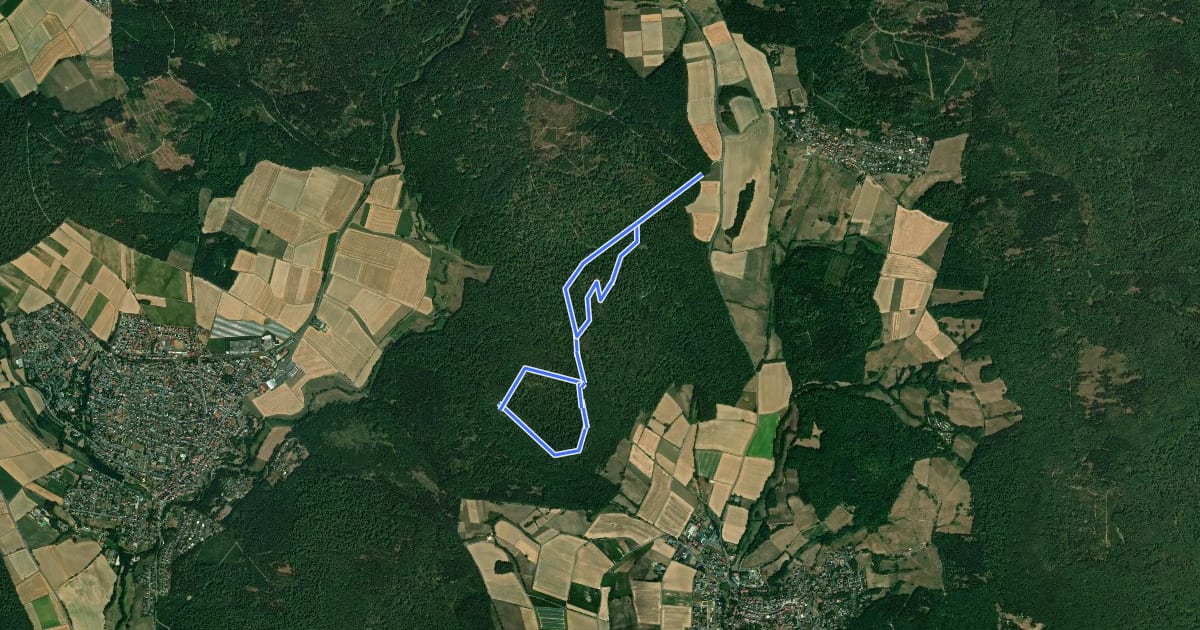 Маршрут Rundwanderweg "2" des Naturpark Habichtswald ab Wanderparkplatz Falkenstein на спутниковом снимке