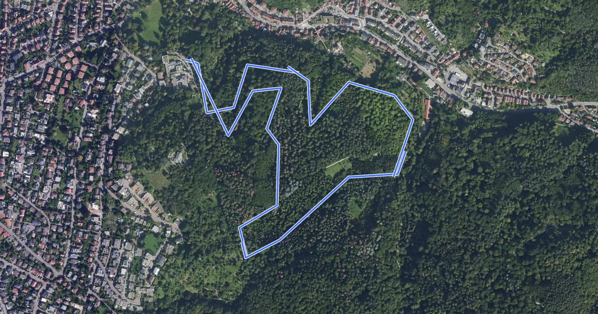 Маршрут Rundwanderweg 2: Exotenwald-Rundweg на спутниковом снимке