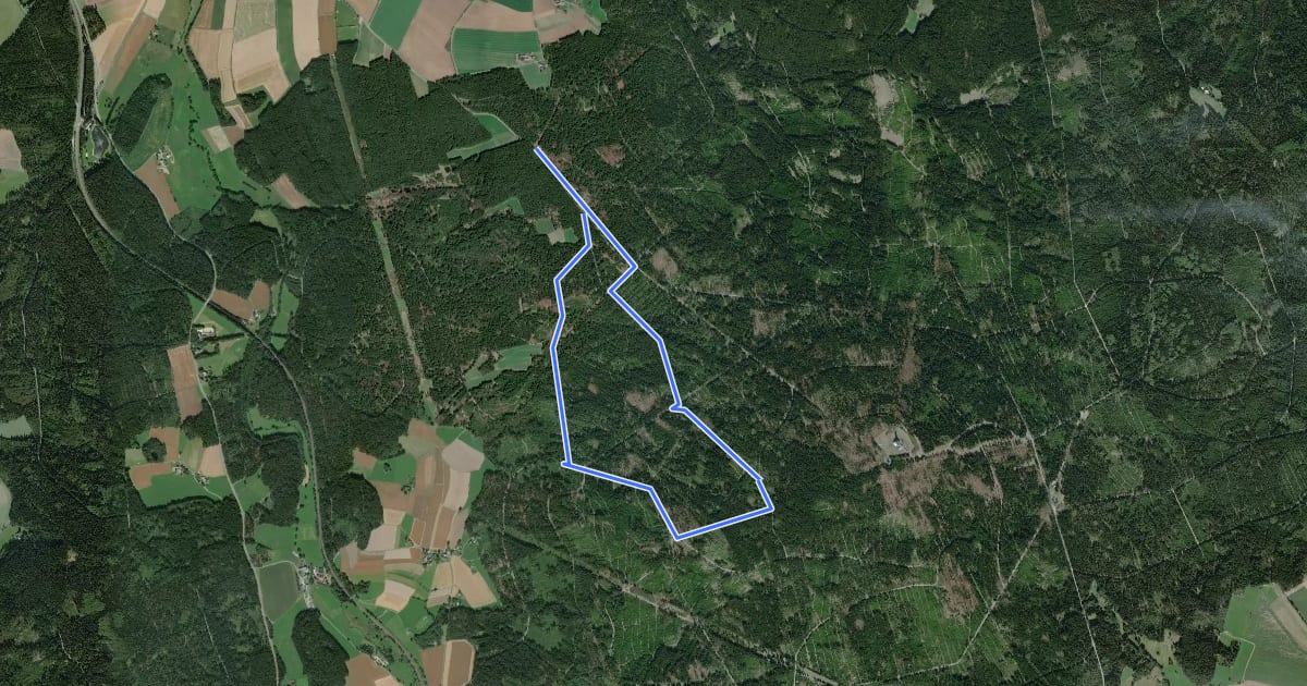 Маршрут Rundwanderweg 2 Schwarzenbach/S. на спутниковом снимке