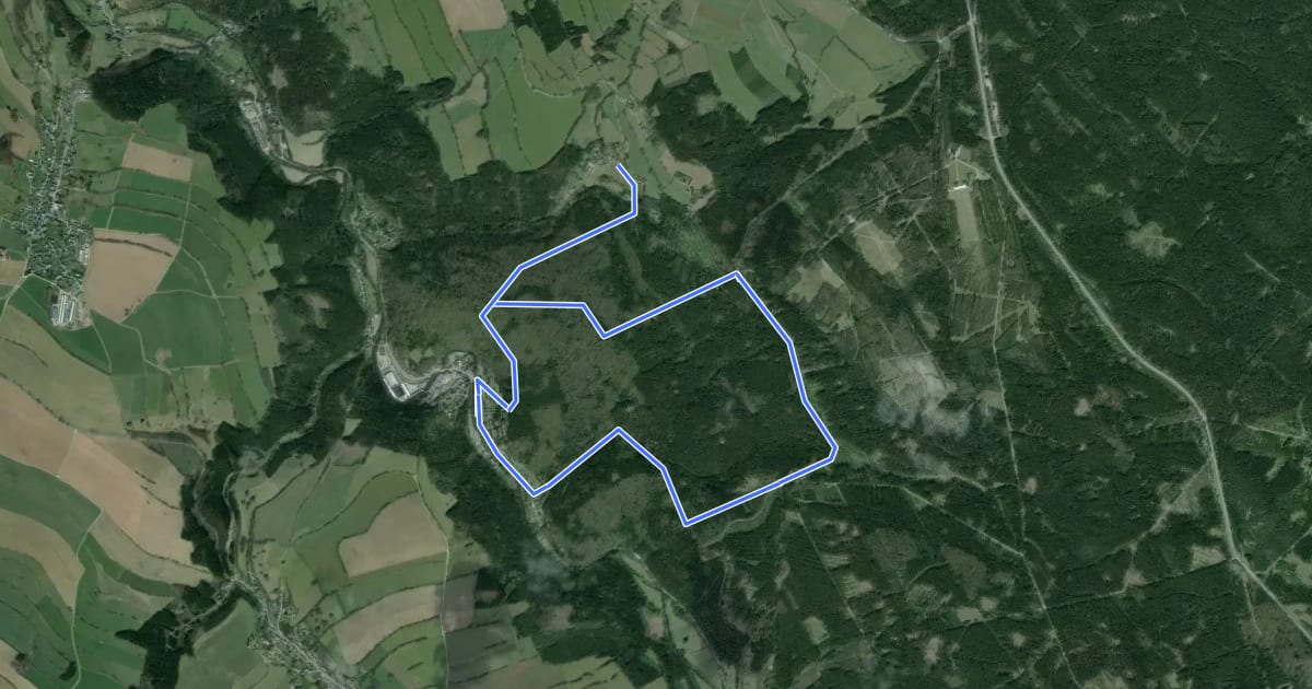Маршрут Rundwanderweg на спутниковом снимке