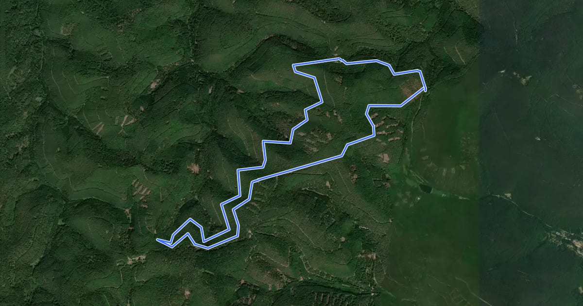 Маршрут Rundwanderweg 26 Hüttenhohl на спутниковом снимке