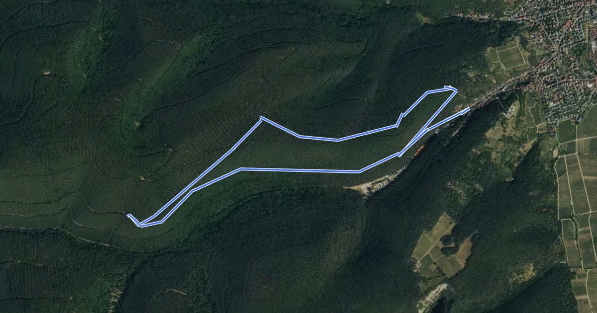 Маршрут Rundwanderweg 3 на спутниковом снимке