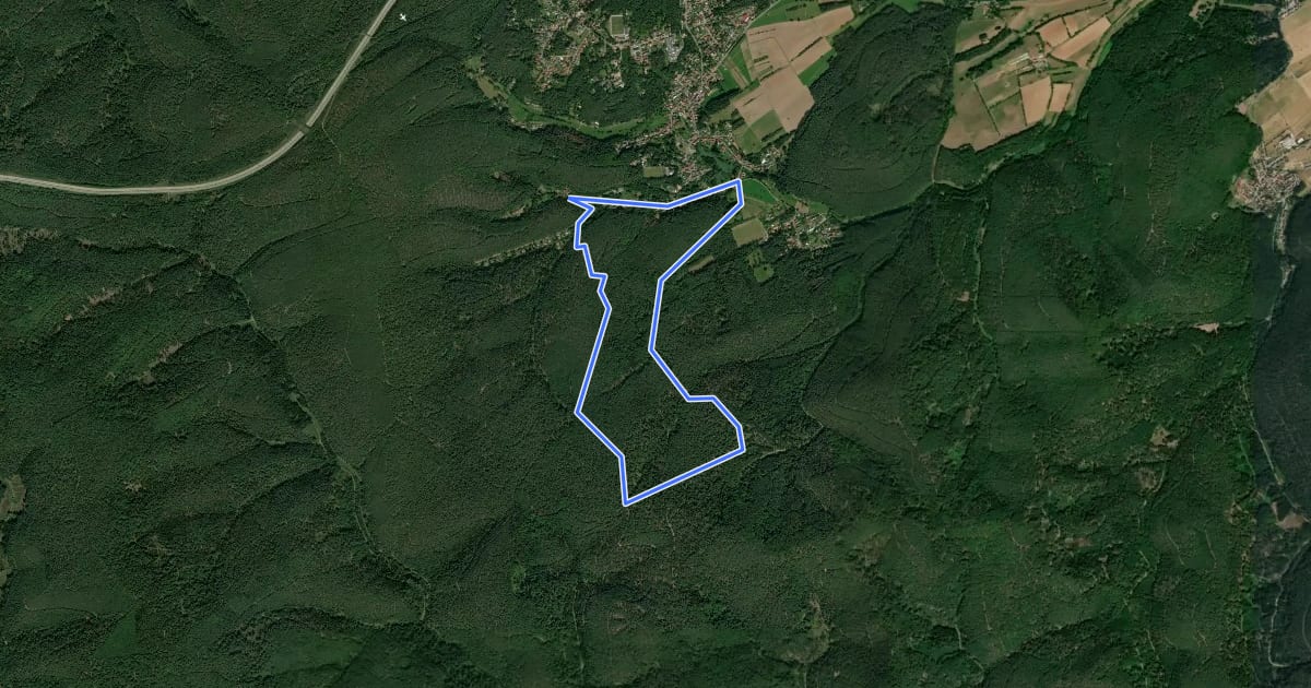 Маршрут Rundwanderweg 3 на спутниковом снимке