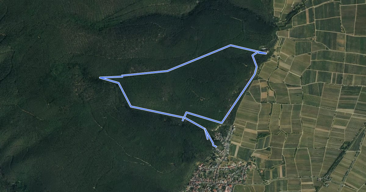 Маршрут Rundwanderweg 3 на спутниковом снимке