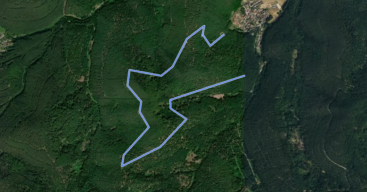 Маршрут Rundwanderweg 3 на спутниковом снимке