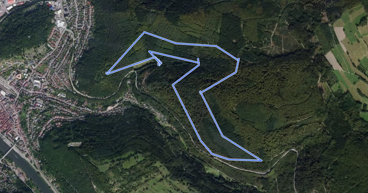 Маршрут Rundwanderweg 3: Burg-Eberbach-Weg на спутниковом снимке