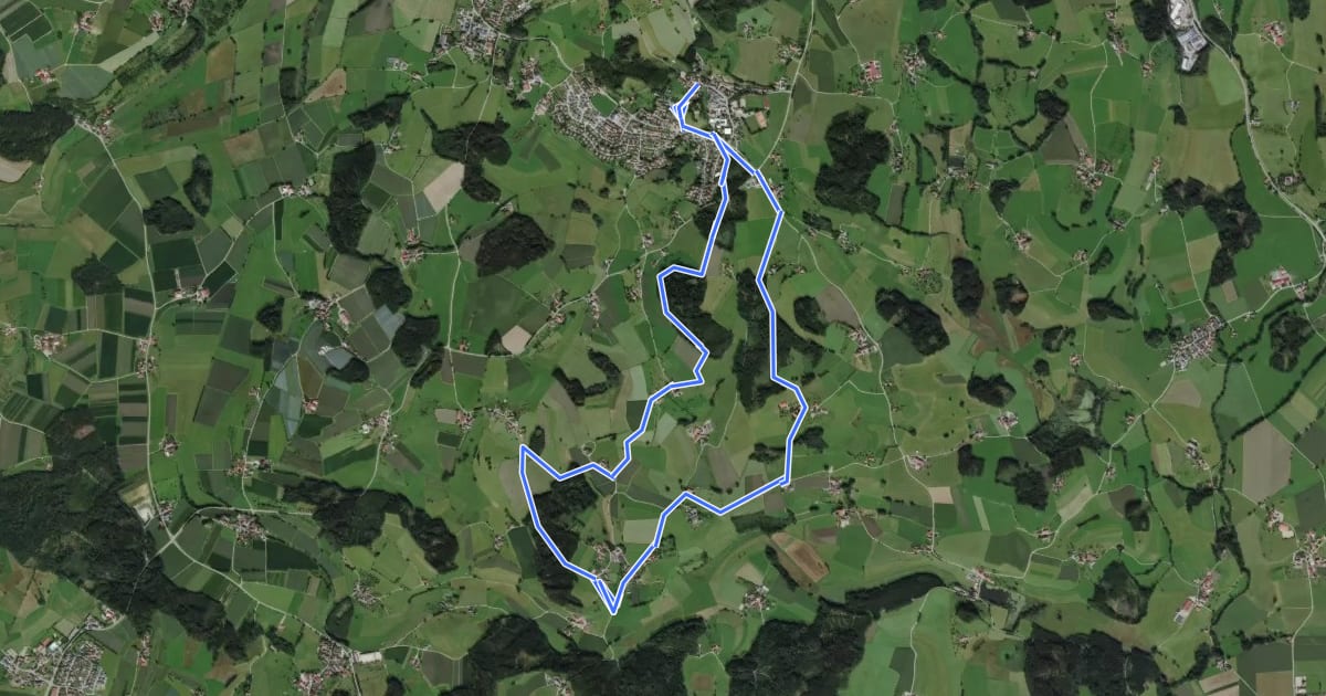Маршрут Rundwanderweg 3 der Gemeinde Bodnegg на спутниковом снимке