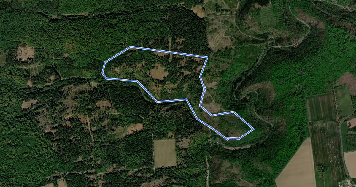 Маршрут Rundwanderweg 3 Harzgerode/Alexisbad на спутниковом снимке