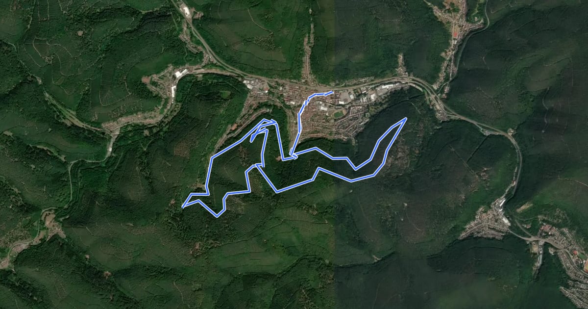 Маршрут Rundwanderweg 3 Lambrecht на спутниковом снимке