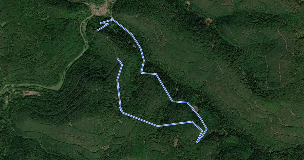 Маршрут Rundwanderweg 3, Parkplatz Spangenberg на спутниковом снимке