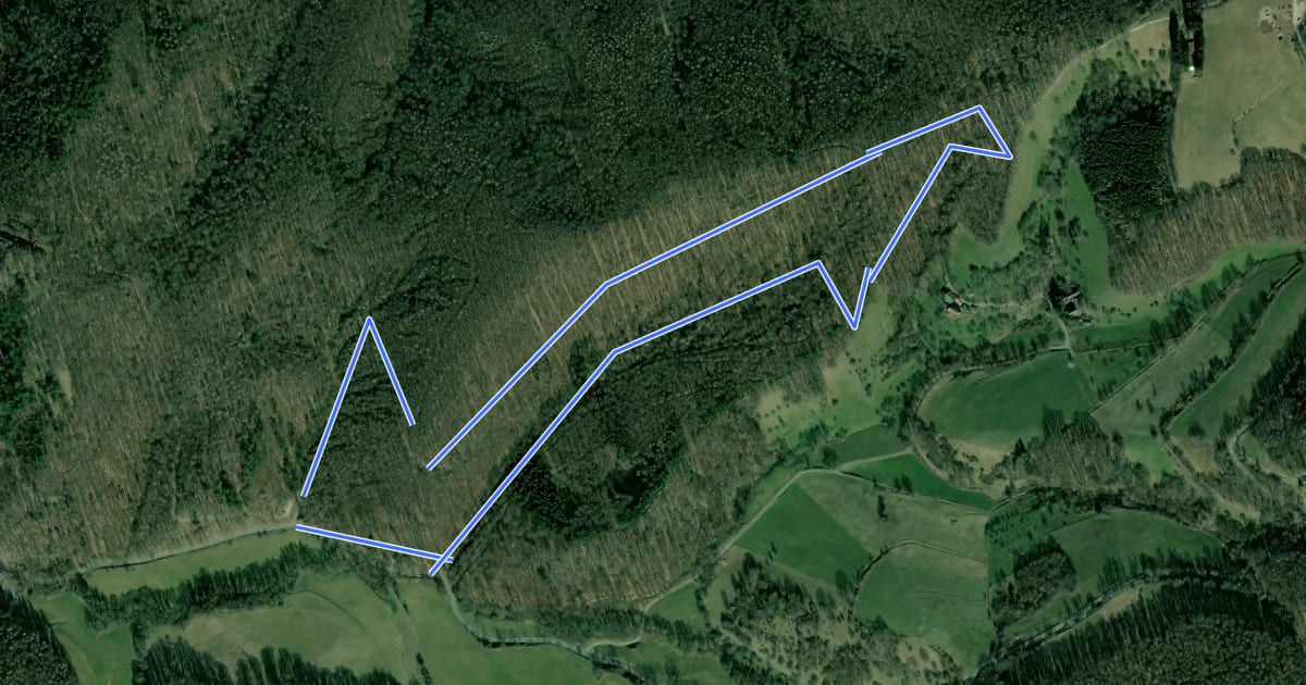 Маршрут Rundwanderweg 3: Sachsenberg - Weg на спутниковом снимке