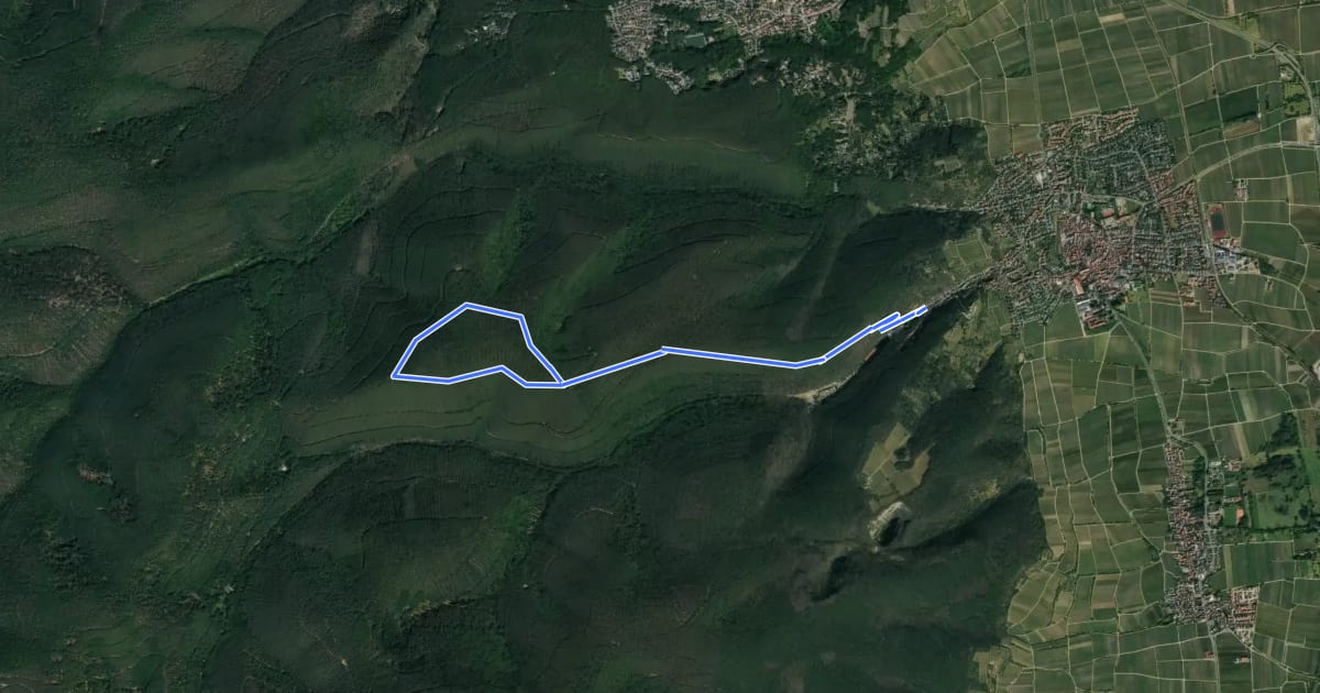Маршрут Rundwanderweg 4 на спутниковом снимке