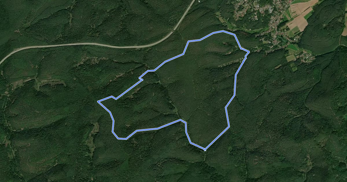 Маршрут Rundwanderweg 4 на спутниковом снимке