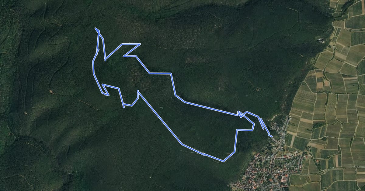 Маршрут Rundwanderweg 4 на спутниковом снимке