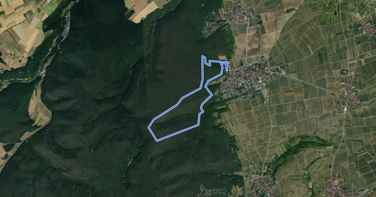 Маршрут Rundwanderweg 4 на спутниковом снимке